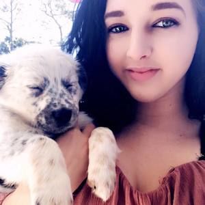 Meet your Posher, Hailey